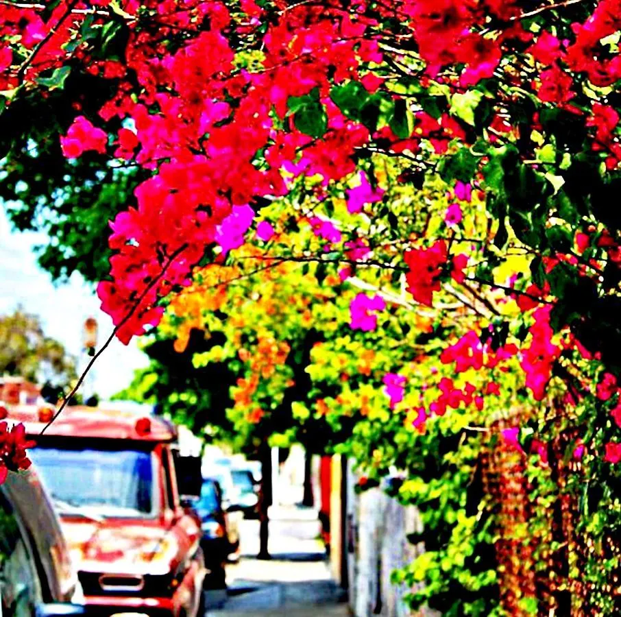 Malaga Beach Holidays Rincon de la Victoria 3*,  Spain